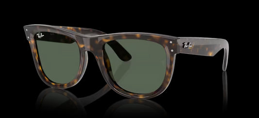 WAYFARER REVERSE R0502S